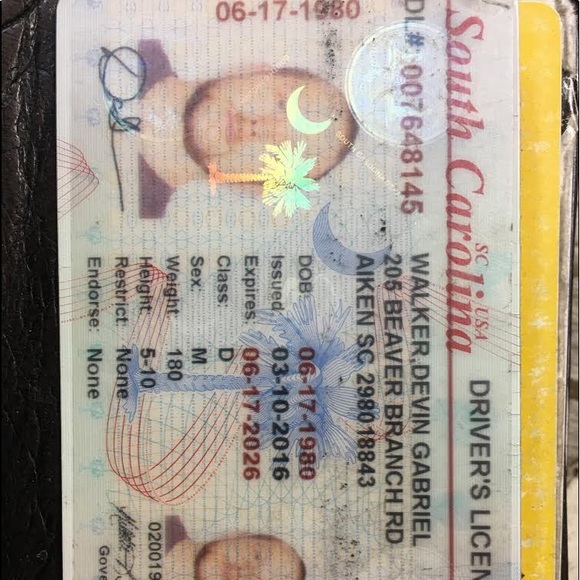 Meet your Posher, Gabriel - Picture 2 of 2